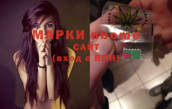 шишки Белокуриха
