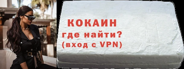 шишки Белокуриха