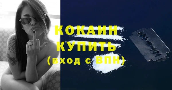 шишки Белокуриха