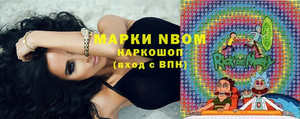 шишки Белокуриха