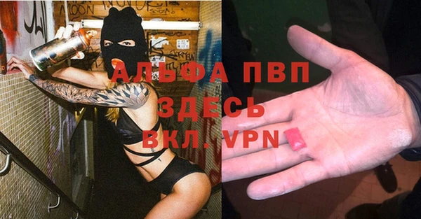 молекула духа Белоозёрский