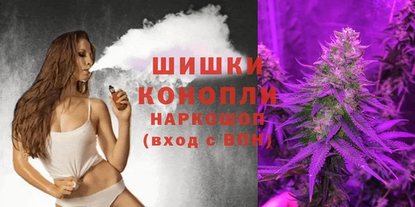 шишки Белокуриха