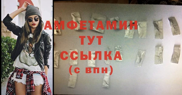 шишки Белокуриха