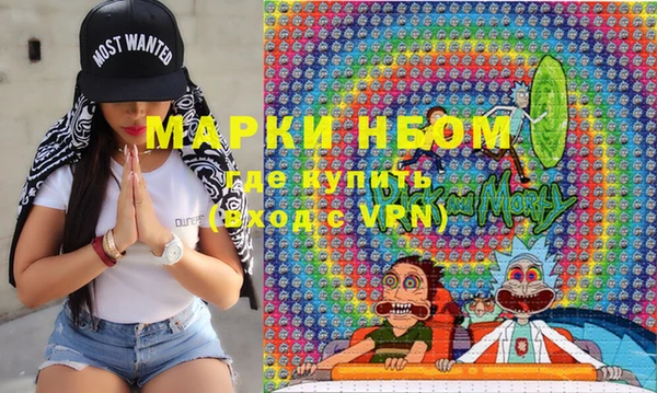 шишки Белокуриха