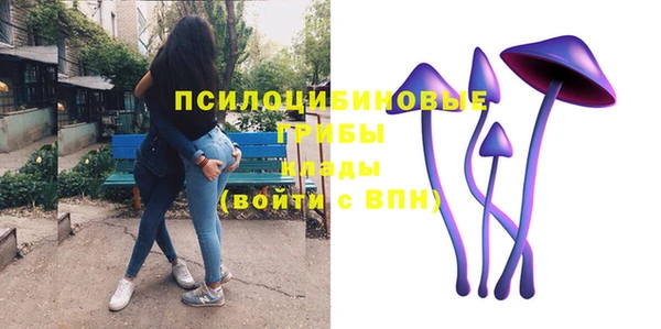молекула духа Белоозёрский